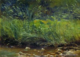 Playa del Estanque Playa del Estanque