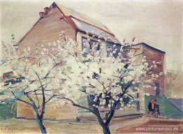 Primavera en mi jardín Primavera en mi jardín