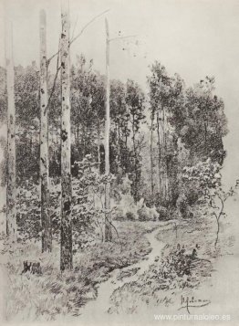 Camino en el bosque Camino en el bosque