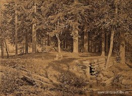 Borde del bosque (bosque de abetos) Borde del bosque (bosque de abetos)