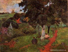 Ir y venir, Martinica Ir y venir, Martinica