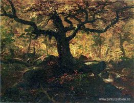 Árbol en los Catskills Árbol en los Catskills