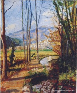 Vista sobre el río Var Vista sobre el río Var