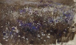 Prado florido Prado florido