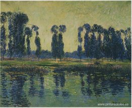 Hielo en el río Oise Hielo en el río Oise