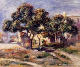 Nísperos, Cagnes Nísperos, Cagnes