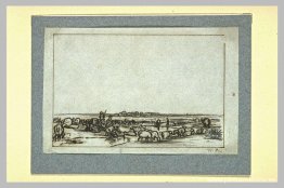 Rebaño de ovejas en un pasto Rebaño de ovejas en un pasto