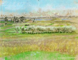 Arboles de plata Arboles de plata