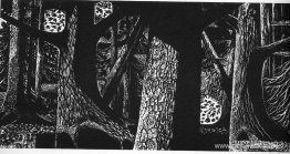 Paseo nocturno Paseo nocturno