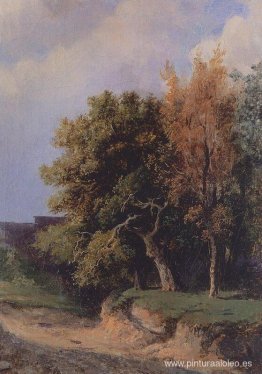 paisaje con carretera paisaje con carretera