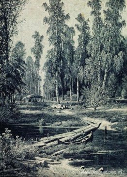 Río del bosque Río del bosque