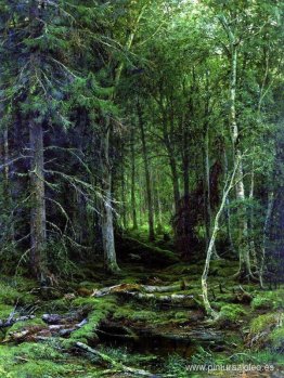 Región apartada Región apartada