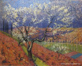 árboles en flor árboles en flor