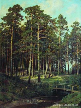 Puente en el bosque Puente en el bosque