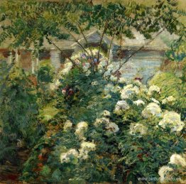 Jardín de Greenwich Jardín de Greenwich