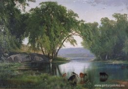 En el arroyo Catawissa En el arroyo Catawissa