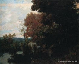 El borde del bosque El borde del bosque