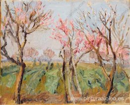 Jardín cerca de Roma. Melocotones en flor. Jardín cerca de Roma. Melocotones en flor.