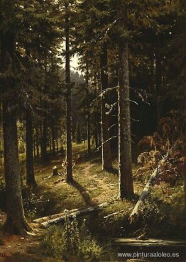 paisaje forestal paisaje forestal