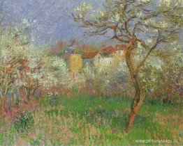 Primavera Primavera