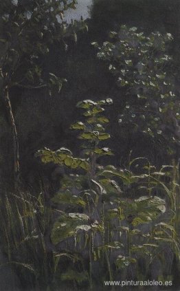 Bosque. Bardana Bosque. Bardana