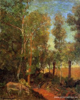 burro por carril burro por carril