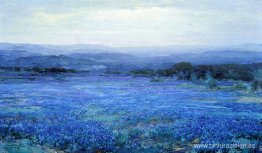 Paisaje Panorámico Paisaje Panorámico