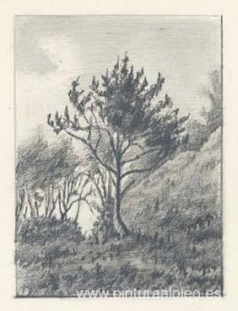 Cerca del monte Sobachya en Sosnitsy Cerca del monte Sobachya en Sosnitsy