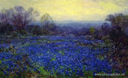 Campo de bluebonnets Campo de bluebonnets
