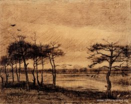 Pinos en el pantano Pinos en el pantano