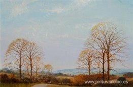 árboles de otoño árboles de otoño