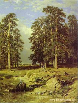 Cerca de Yelábuga Cerca de Yelábuga