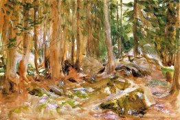 bosque de pinos bosque de pinos