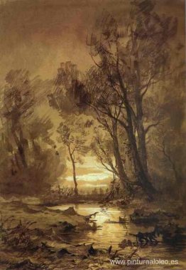 arroyo en un bosque arroyo en un bosque