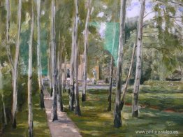 abedul crece abedul crece