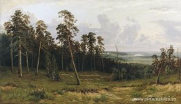 Bosque de abetos en el río Kama Bosque de abetos en el río Kama