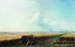 Durante la cosecha en Ucrania Durante la cosecha en Ucrania