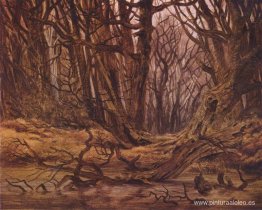 Forrest a finales de otoño. Forrest a finales de otoño.