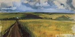 Neskuchnoye. Campo. Neskuchnoye. Campo.