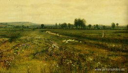 Un extenso paisaje de pradera con gansos junto a un arroyo Un extenso paisaje de pradera con gansos junto a un arroyo