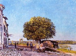 Castaño en Saint Mammes Castaño en Saint Mammes