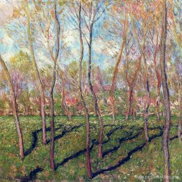 Árboles en invierno, vista de Bennecourt. Árboles en invierno, vista de Bennecourt.