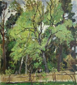 Los árboles detrás de la valla Los árboles detrás de la valla