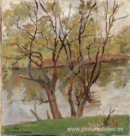 Sauces en el río Protva Sauces en el río Protva