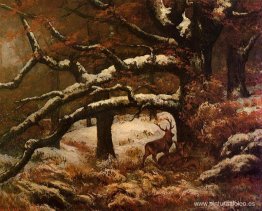 Refugio de ciervos Refugio de ciervos