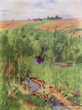 por el arroyo por el arroyo