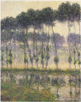Álamos junto al río Eau Álamos junto al río Eau