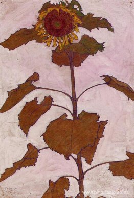 Girasol Girasol