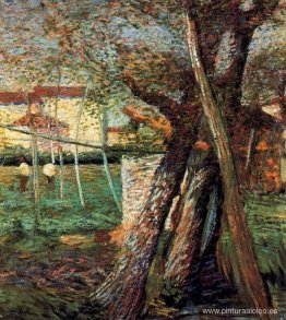 campo con arboles campo con arboles