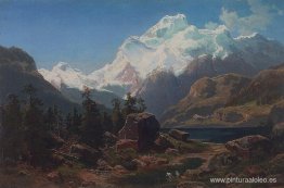 forma suiza forma suiza